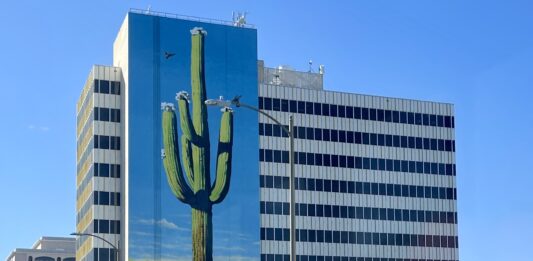 Giant Saguaro by Jessica Gonzales