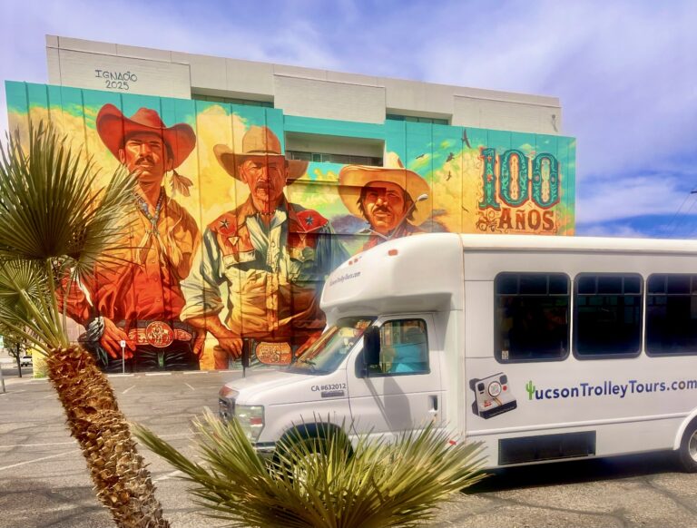 Murals and More Tour - Explore Amazing Murals, Local Secrets and Fun Facts